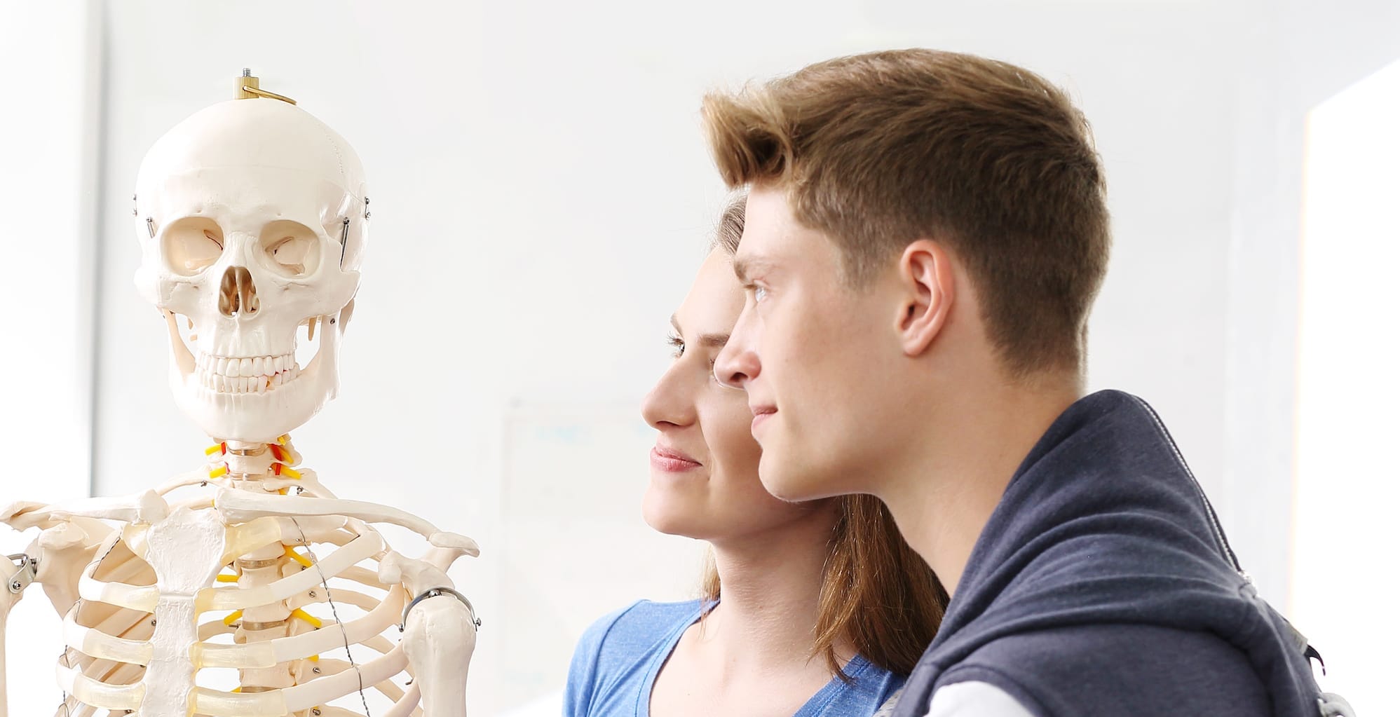 Anatomi undervisning Anatomy teaching